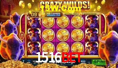 Ofertas Exclusivas 1516Bet
